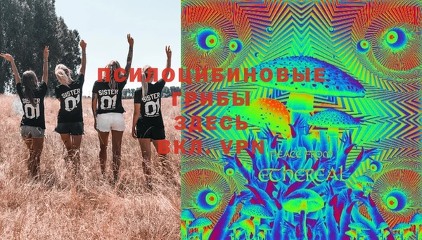 твердый Медногорск