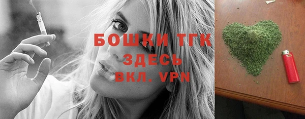 твердый Медногорск